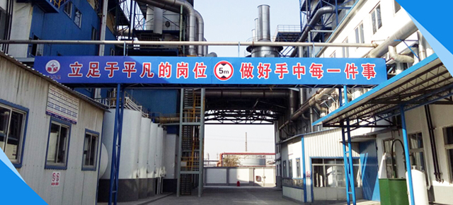 浙江沙星科技股份有限公司